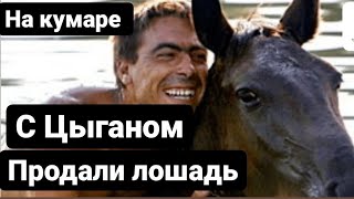 🔴НА КУМАРЕ С ЦЫГАНОМ ПРОДАВАЛИ ЛОШАДЬ!!//ЦЫГАН РАФИК 😁/СОЛЬ