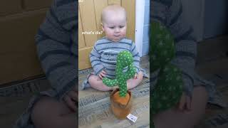 compilation baby crying cactus toy screenshot 4