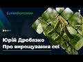 Агротехнології вирощування сої: Система Юрія Дробязко