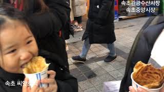 속초앤게스트하우스 숙박 속초관광수산시장 방문기록