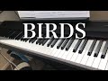 【BIRDS】徳永英明 ピアノ Hideaki Tokunaga Piano