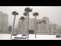 Пальмы в снегу. Баку 2017