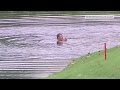 Pablo Larrazabal Escapes Hornets By Jumping Into A Lake