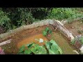 Farmer life#farm at#ukhrul district manipur.