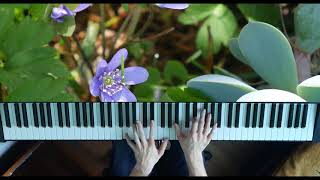 Nocturne op 9 No. 2 - Frederic Chopin played by Ch. Pawlowski (ver1)