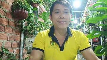 5 Yếu Tố Quyết Định Đến Sự Sống Chết Của Cây Trồng Trong Nhà??