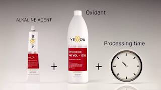 Yellow Color Secrets Education Video 2