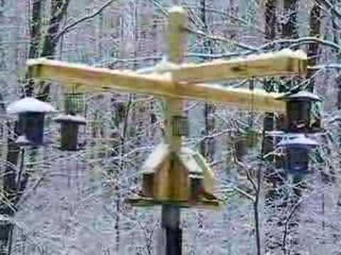 Squirrel Bear And Raccoon Proof Bird Feeders Youtube