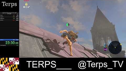 RAGING SPEEDRUNNER HATES TREE LAUNCH (Breath of the Wild speedrun)