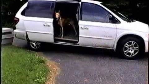 6 Clicker Train Your Own Assistance Dog Part 4 of 4