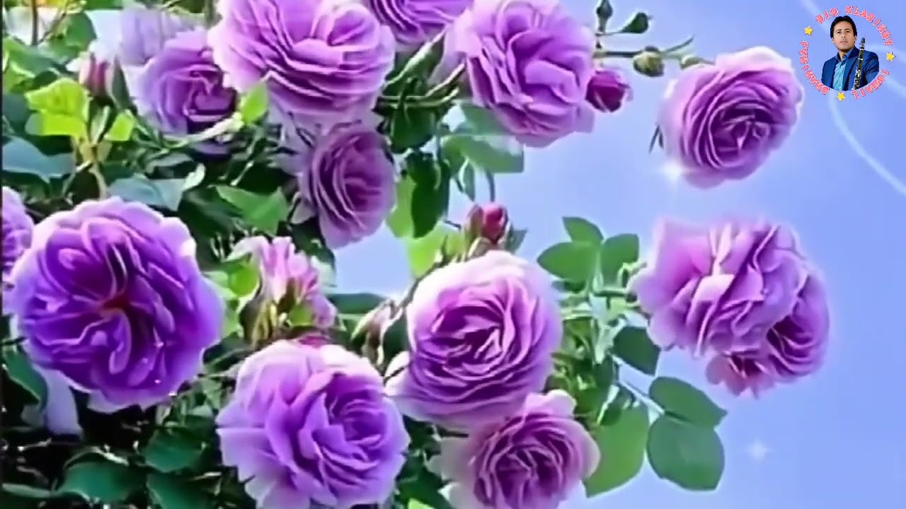 Ismail Shahinaj Valle Popullore 29/12/2025