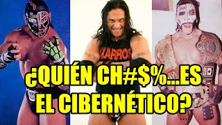Quién C Es El Cibernético?