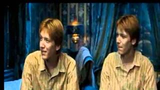 Weasley Twins
