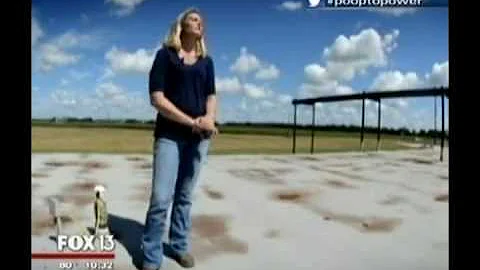 Poop to Power: How a Florida dairy farm turns cow manure into electricity