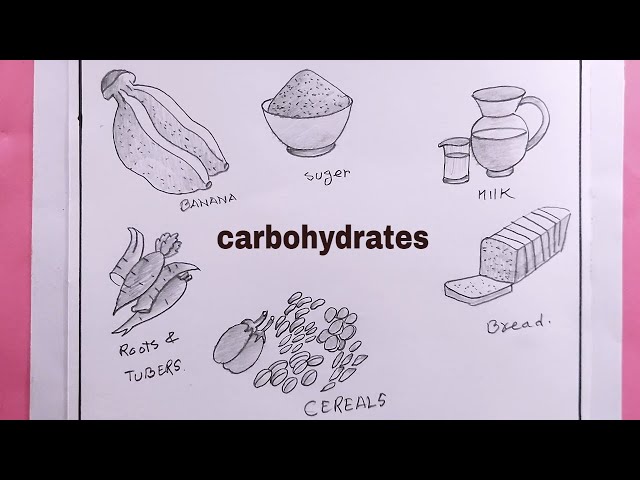 Hand drawn doodle Carbohydrate chemical formula icon Vector illustration  Carbs dieting symbol Cartoon sketch weight loss element Fitness diet Sport  nutrition Healthy eating On white background Stock Vector  Adobe Stock