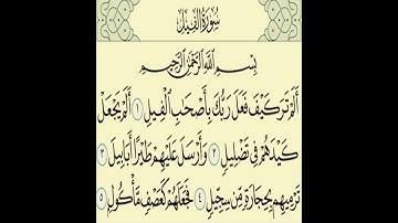 سورة الفيل  -  أَلَمْ تَرَ كَيْفَ فَعَلَ رَبُّكَ بِأَصْحَابِ الْفِيلِ (1)