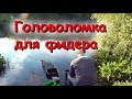 Головоломка для фидера. Подсечь неподсекаемое.