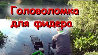 Головоломка для фидера. Подсечь неподсекаемое.