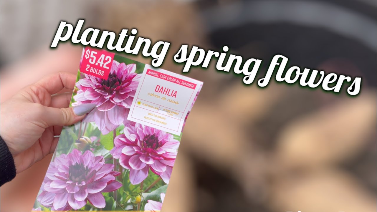 let’s plant spring flowers YouTube