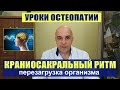 9. Уроки остеопатии урок  № 9 Перезагрузка организма Краниосакральный ритм