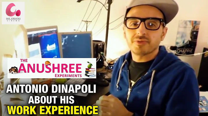 Antonio Dinapoli about his Work Experience | The A...