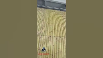 thực tế công trình thi công tre nhân tạo