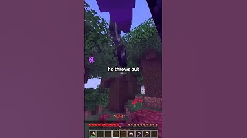 The best minecraft armor in seconds