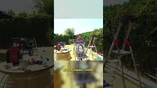 Zarbex braucht sofort einen Stuhl – was ist passiert?