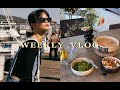 WEEKLY VLOG.go back to normal | 情侣日常生活，土味情话？ | recent sunglasses collection; empties | 墨镜，空瓶分享