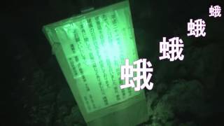 やばい心霊スポットを全く怖くなくしてみた