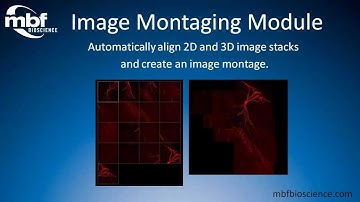 Image montaging module - Overview