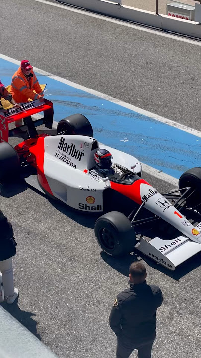 Gerhard Berger driving the McLaren MP4/6 of #ayrtonsenna #formula1