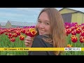 CBC News: Compass | July 17, 2026