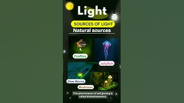 𝙇 𝙛𝙤𝙧 𝙇𝙞𝙜𝙝𝙩 📌