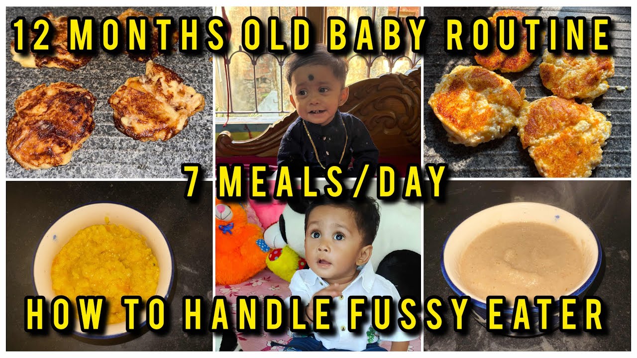 12 মাসের ত্রিহান সারা দিন কি খাওয়া দাওয়া করে||12 Months Old Baby full Day Routine||