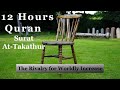 12 Hours Beautiful Quran Recitation | Relaxation Deep Sleep Stress Relief | At-Takathur Black Screen
