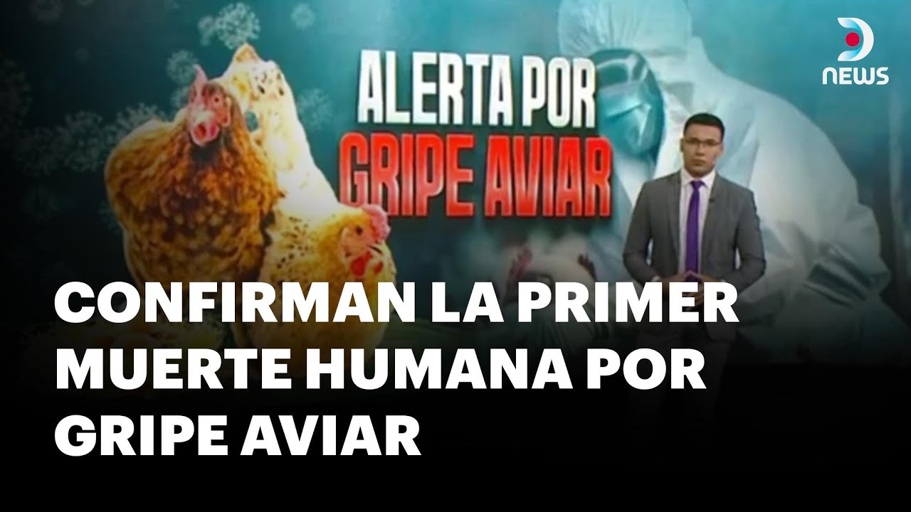 ¿Cómo se contagia la gripe aviar en humanos? - DNews