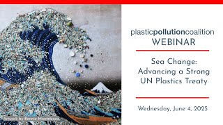 Sea Change: Advancing a Strong UN Plastics Treaty