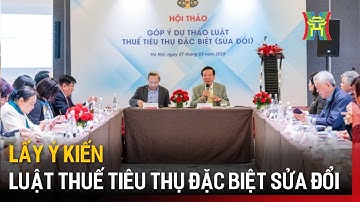 Cân nhắc quá trình áp thuế tiêu thụ đặc biệt | Tin tức
