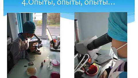 Можно ли пить воду из пруда