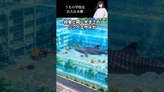 巨大な水槽の中にある学校