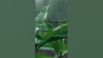 #سورة_الإخلاص أكتب شيء تؤجر عليه❤️