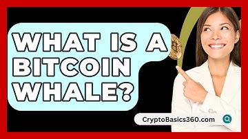 What Is a Bitcoin Whale? - CryptoBasics360.com