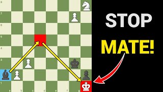 5 Chess Puzzles Guaranteed To Fool You😲