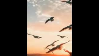 Erkenci Kuş Jenerik müziği , sana da günaydın