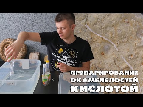 Видео: Что вы делаете с закрытой окаменелостью в Pixelmon?