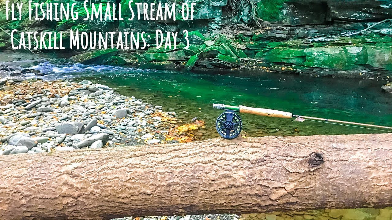 Fly Fishing Small Streams of Catskill Mountains Day 3 YouTube