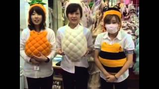 着ぐるみ３姉妹　小さいお子様向け衣裳　【茨城　ひたちなか　小野写真館】