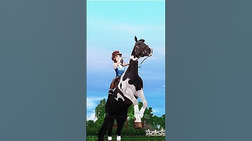 He proved it... 🏆✨#shorts #edit #sso #horses #starstable