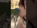 ワキワキダンスの【オキナインコ】